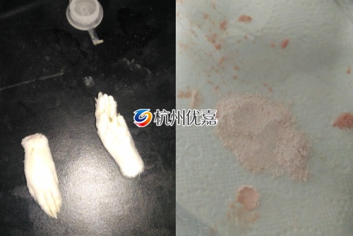 某科技實(shí)驗(yàn)室利用全自動冷凍研磨儀研磨動物組織