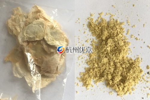 如何利用宋慈高通量多樣品組織研磨儀研磨植物組織？